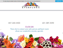 Tablet Screenshot of everflora.com